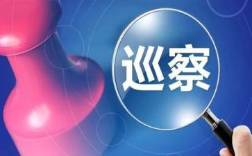 巡视工作个人总结7篇