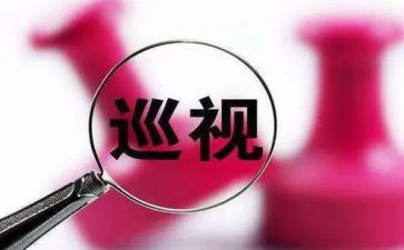 巡视后心得体会7篇