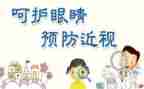 带上鸟的眼睛作文8篇