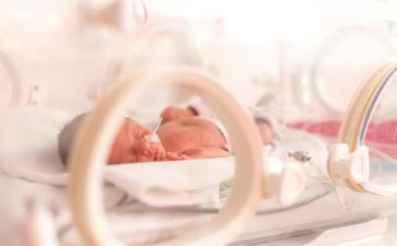 蛋宝宝幼儿园教案最新7篇