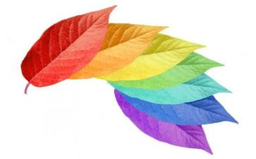 小班颜色分类数学教案6篇