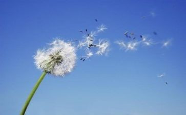 义务教育语文课程标准2023年版心得体会5篇