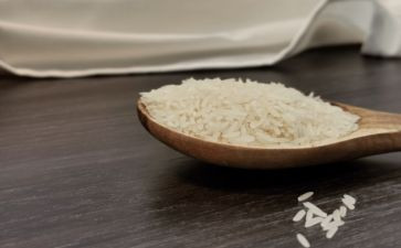 一粒米的作文优质8篇