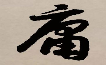 庸子心得体会优秀6篇