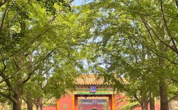 雍和宫心得体会6篇
