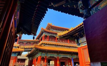 雍和宫心得体会精选5篇