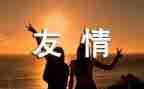 2024年年度教师考核个人总结最新8篇
