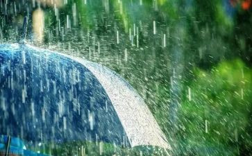 雨来故事的读后感推荐8篇