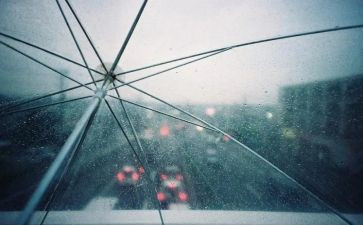 英雄雨来的读后感参考6篇