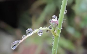 作文雨600字初中作文6篇