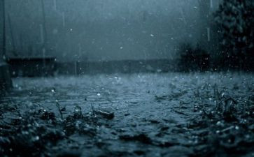风和雨的故事教案通用8篇