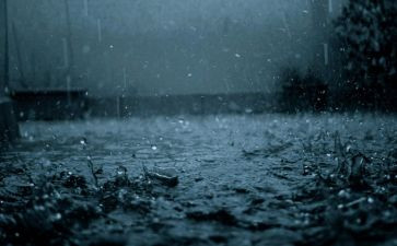 作文雨600字6篇