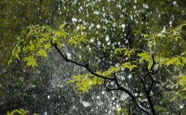 呼风唤雨的世纪教学反思教学反思6篇