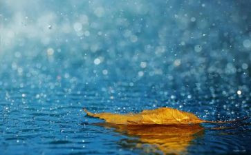 写英雄雨来的读后感6篇