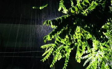 呼风唤雨的世纪教学反思6篇