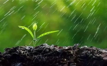 作文雨600字参考7篇