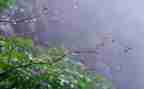 雨的读后感600字最新8篇