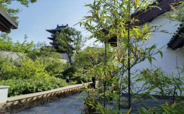 园博游记作文参考7篇