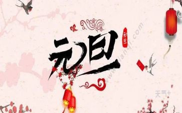 元旦的心得体会优秀5篇
