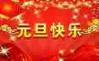 幼儿园中班元旦活动方案5篇
