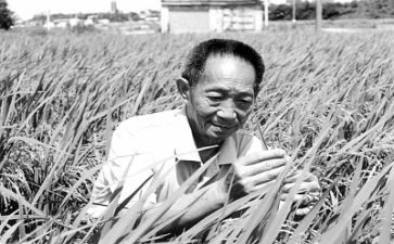 写袁隆平爷的作文模板8篇