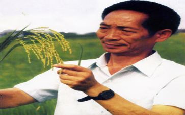 关于袁隆平事迹5篇