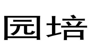 班级管理幼儿园培训心得6篇