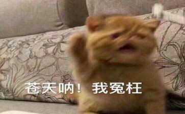 我被冤枉的作文500字6篇