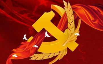 预备党员半年度工作总结6篇