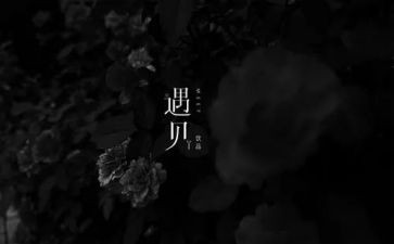 遇见作文5篇