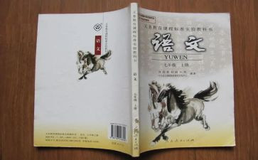 当语文教师教学总结7篇