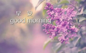 小班数学三只熊的早餐教案6篇