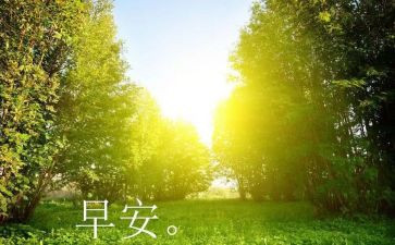 早教个人总结7篇