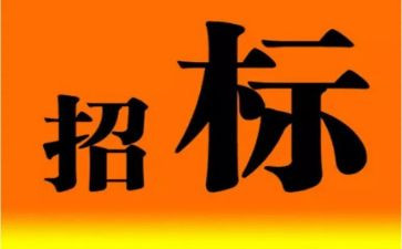 招标代理工作总结8篇