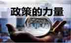 政策心得体会5篇
