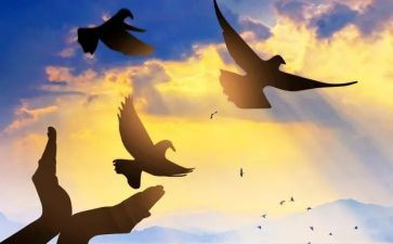 真好作文800字作文8篇