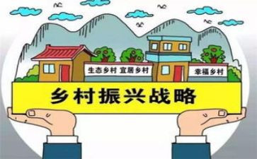 振兴心得体会通用6篇