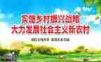 2023乡村振兴心得体会8篇