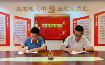 企业支部述职报告优质8篇