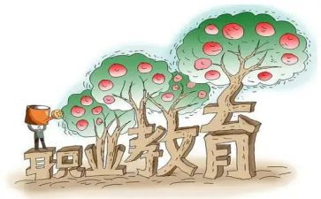 新入职教师的心得体会范文6篇