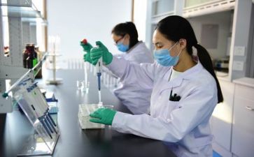 个人质量工作总结范文5篇
