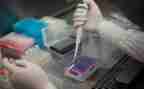 培训质量管理体系的心得8篇