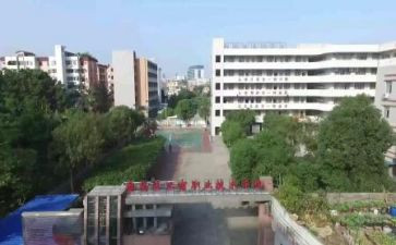 职校个人总结800字8篇