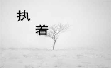 执着的爱作文精选7篇