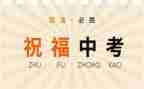 亲情作文中考800字5篇