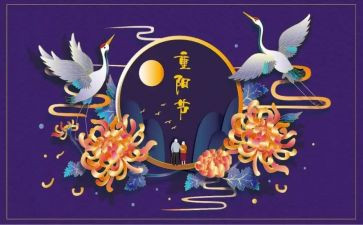 2024年重阳节活动总结优质6篇