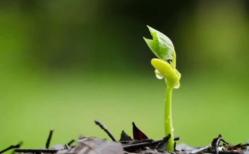 读《种子》心得体会6篇
