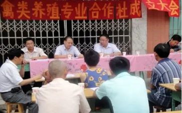 专合社个人先进事迹最新5篇