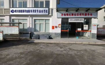专合社个人先进事迹推荐6篇