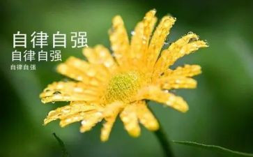 自强不息的事迹5篇